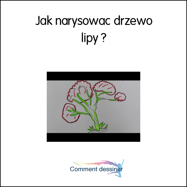 Jak narysować drzewo lipy